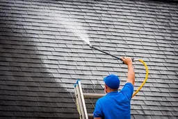 Roof Soft Washing